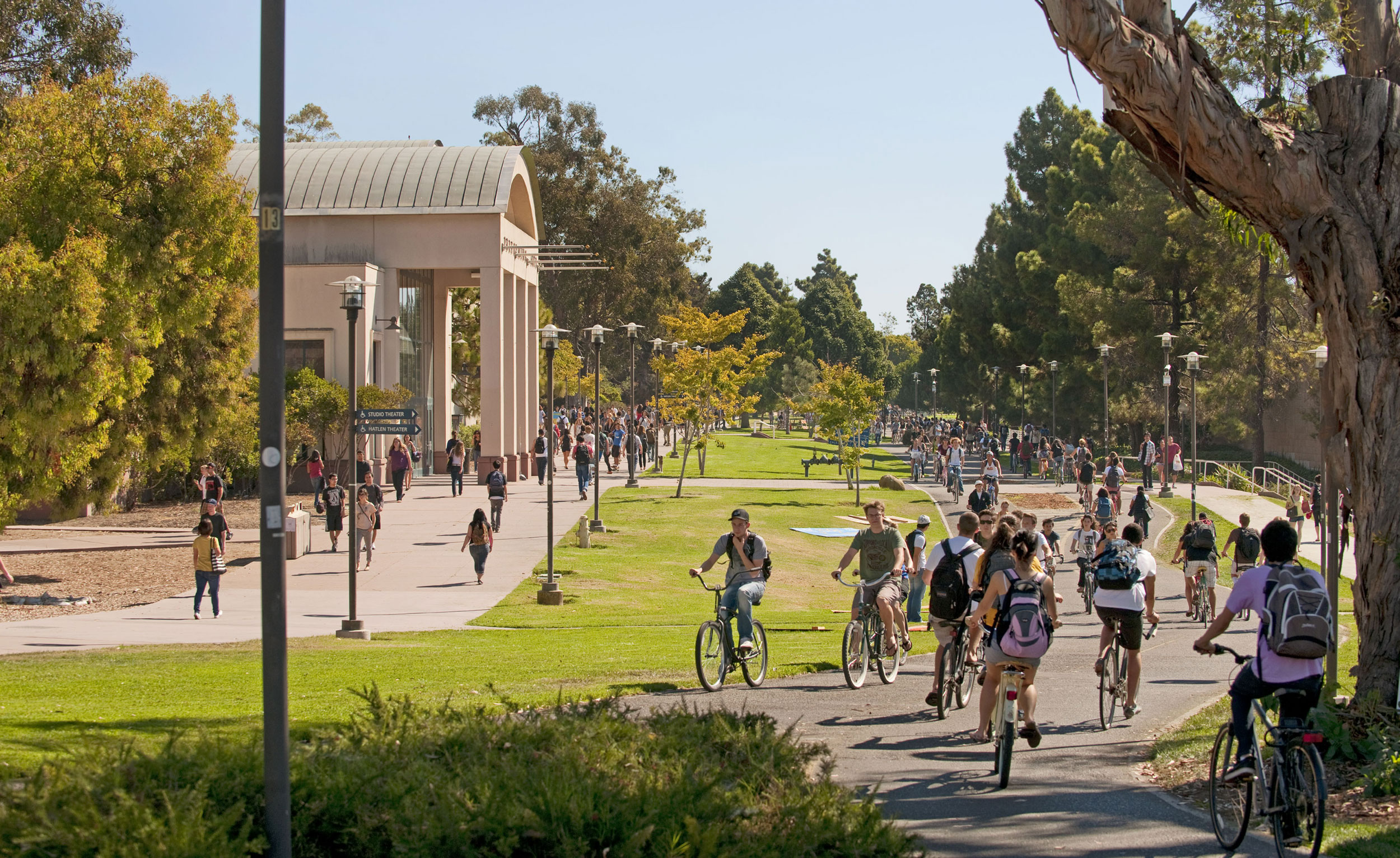students riding bikes