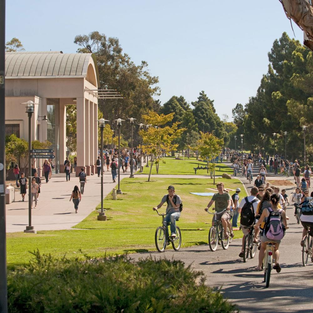 students riding bikes
